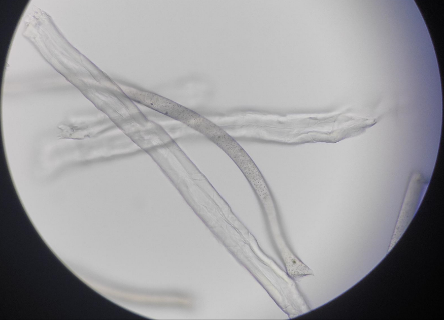 无尘擦拭布材质分析方法详解